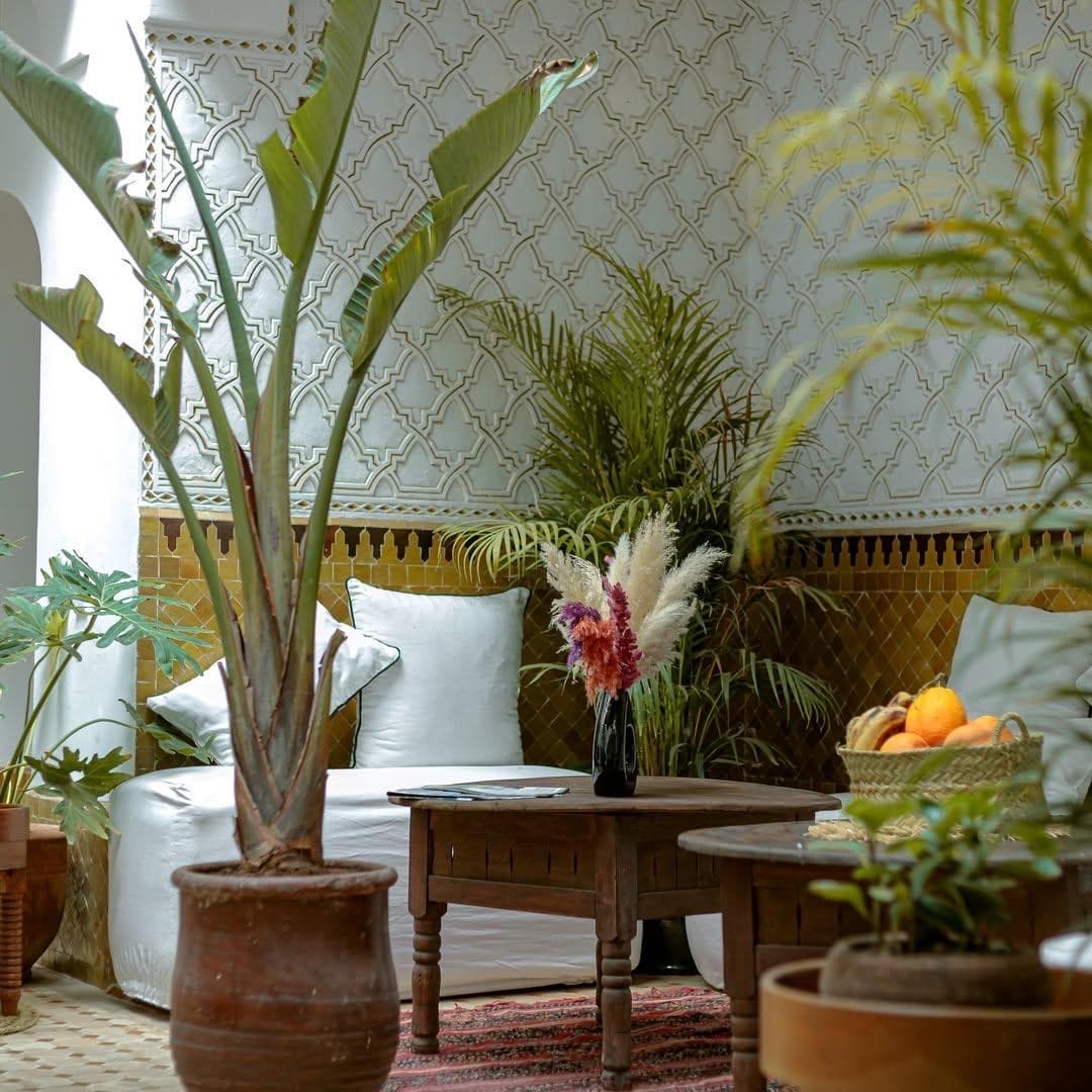 Moroccan Rooftop Breakfast at Riad Darino